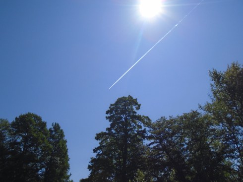 Inspired by the midday sun