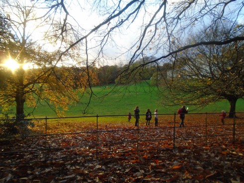 Hamstead Heath in November.