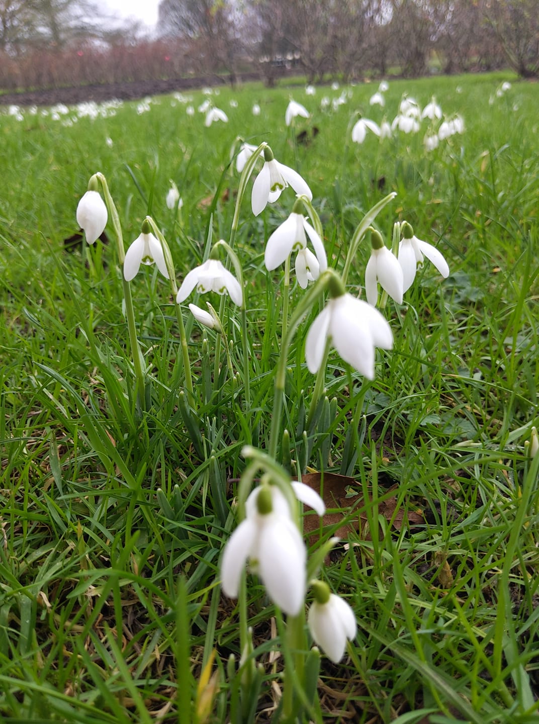 83119224_10156726185527461_1326845097156804608_o